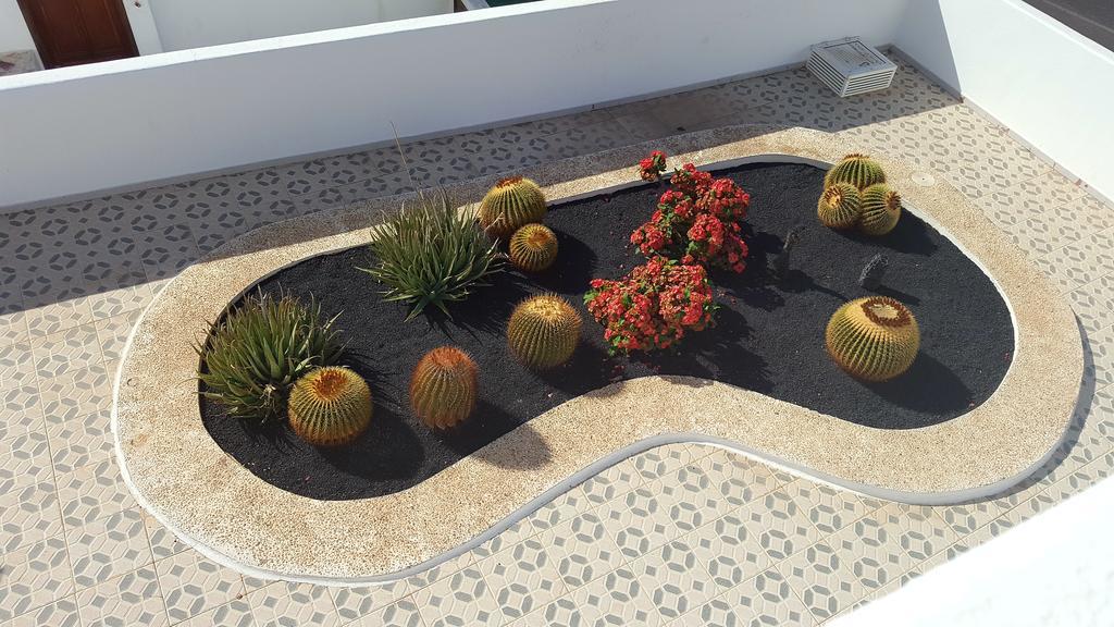 Panelo Cactus Apartment Puerto del Carmen  Exterior photo